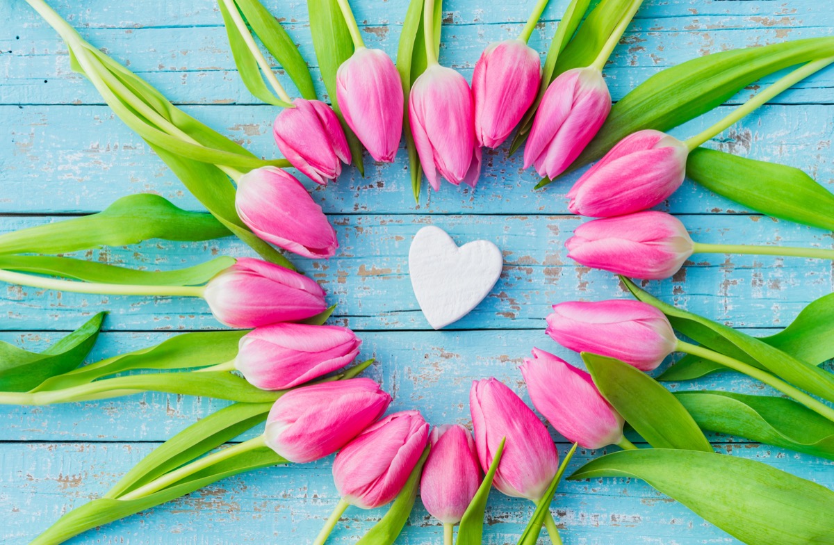 Love Spells in Al Maqwa