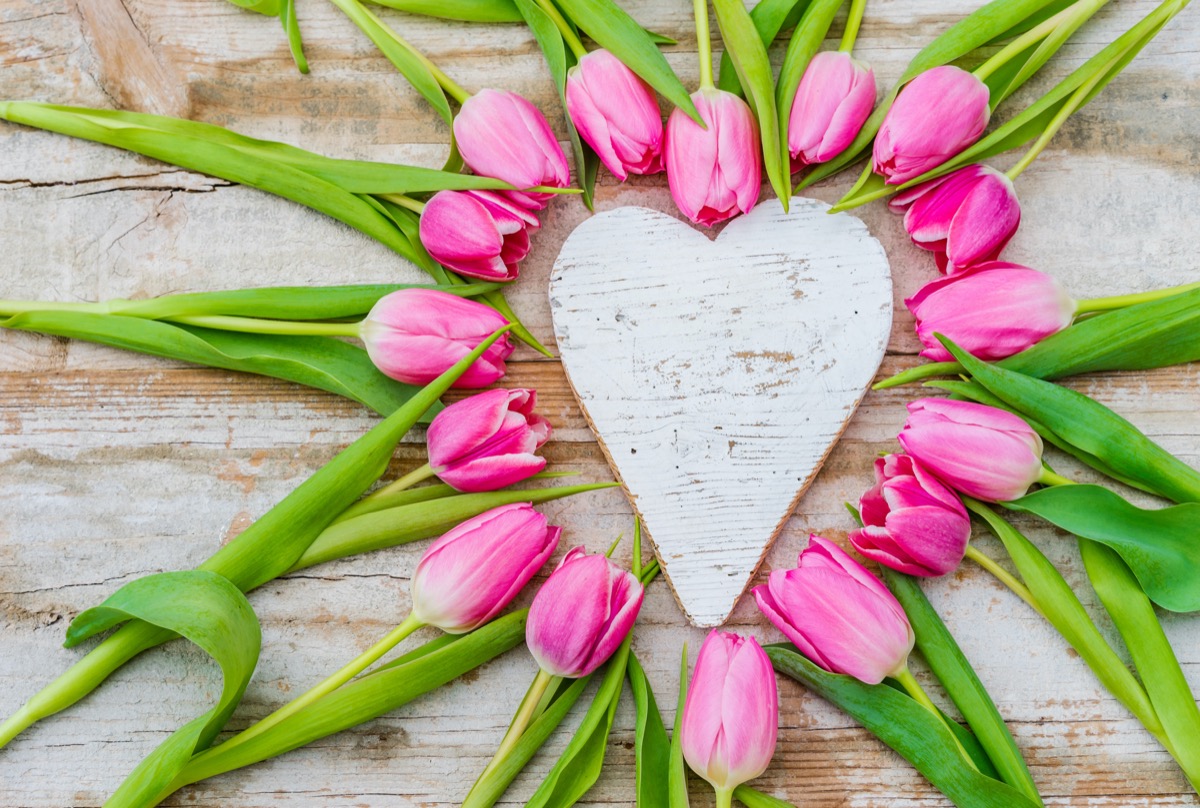 Love Spells in kuwait