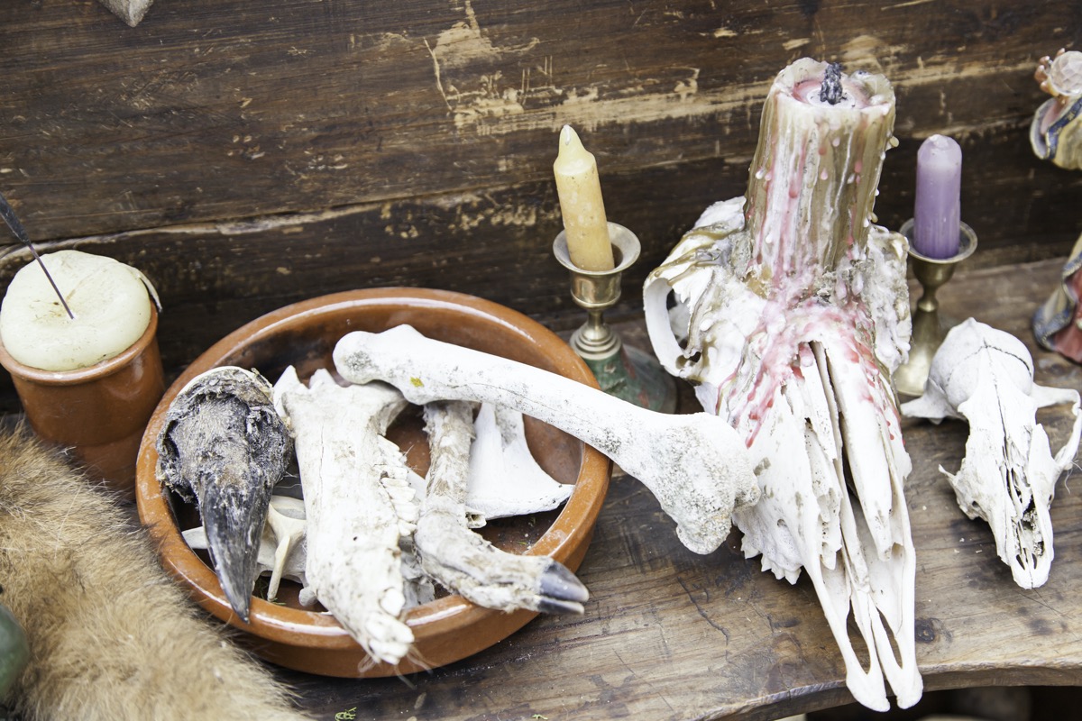 dreamstime_m_51284858