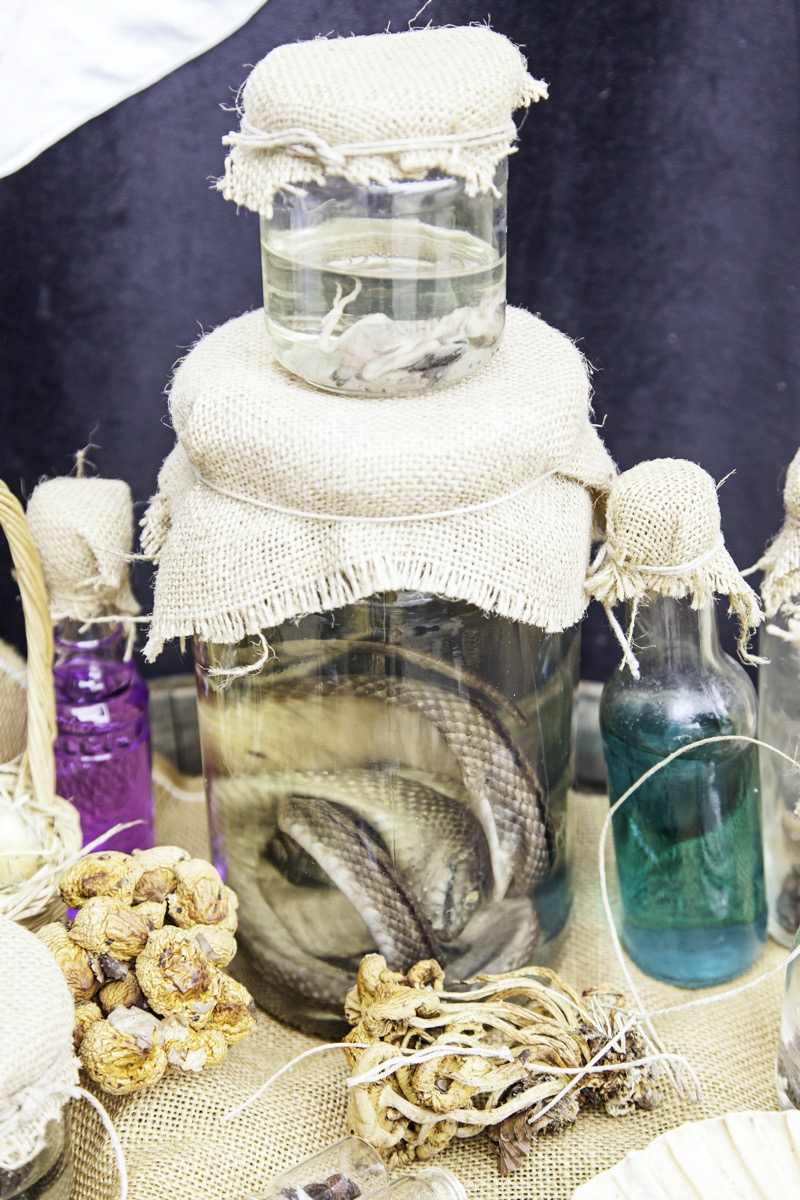 dreamstime_m_51286003