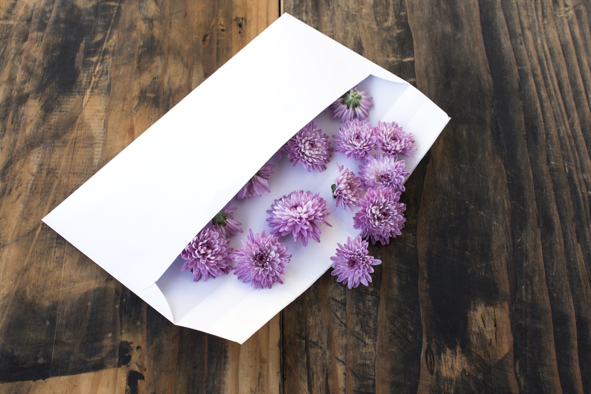 dreamstimemedium_78392025