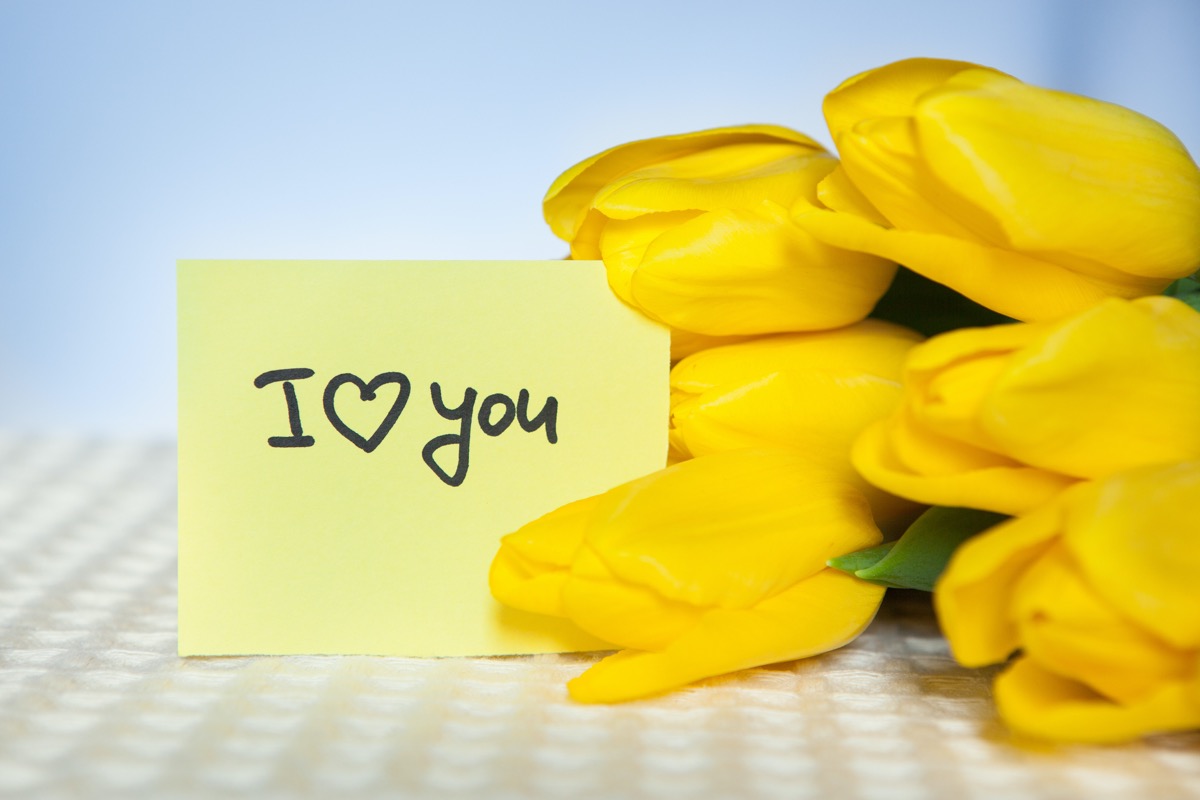 dreamstimemedium_91676815